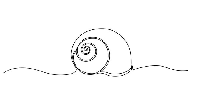  Animated self drawing of  One continuous single-line drawing of a seashell. One-line art of beauty product pearl minimalist, Pearl in a seashell one line art drawing, Animated, motion, video,

