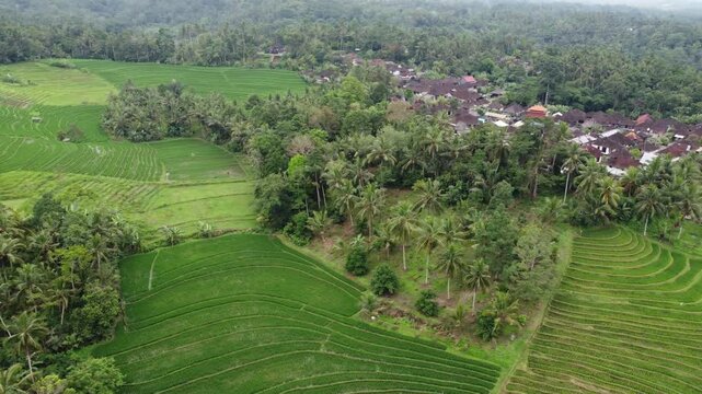 Aerial view by Done with circular motion above the village of Tabanan in Bali, Indonesia