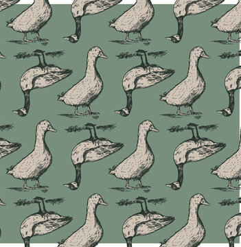 Duck repeat pattern that is an editable vector and seamless designed for vintage fabric, textiles and surface designs 