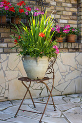 pots with flowers and chair