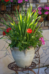 pots with flowers and chair