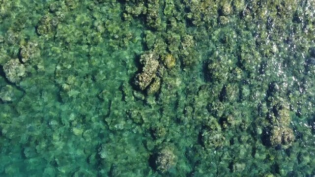 Drone footage gaining altitude over a coral reef in Amed, Bali