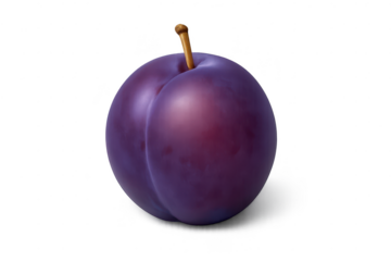 Single ripe plum on a transparent background studio shot macro view.