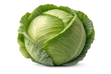 Fototapeta premium Fresh green cabbage on a transparent background ready to be served.