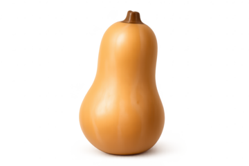 Smooth Butternut Squash Isolated with a transparent background image.