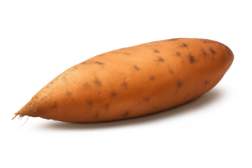 Isolated sweet potato on transparent background for your next project