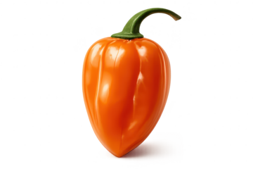 Isolated Scotch Bonnet Pepper on transparent background illustration