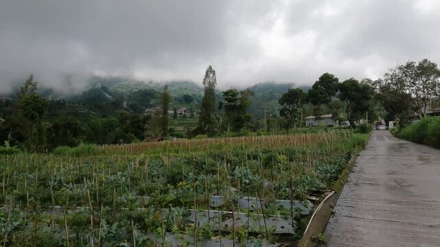 POV Motorcycle Riding: Java, Indonesia, South East Asia: POV Motorbike Travel Through Green Merbabu Hills