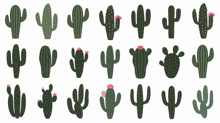 Collection of various cactus illustrations in different shapes and sizes, some with flowers