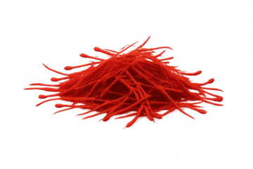 Fungal mycelium structure, red filamentous mold, transparent background