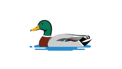 Obraz premium A detailed, colorful illustration of a mallard duck swimming in blue water