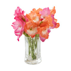 Bouquet of gladiolus flowers in glass vase isolated on transparent background