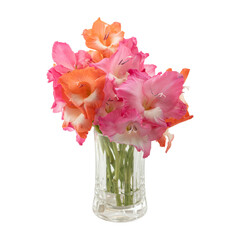 Bouquet of gladiolus flowers in glass vase isolated on transparent background