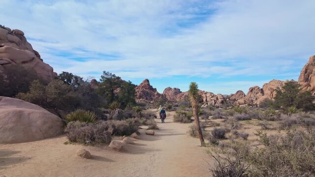 One mile loop hike through Hidden Valley Trail featuring scenic desert valley surrounded by massive rock formations in Joshua Tree National Park California