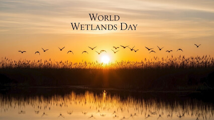 Golden sunset marks World Wetlands Day, silhouetted birds flying over calm water, reeds. World Wetlands Day scene highlights wetland ecosystem preservation, biodiversity.