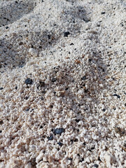 Popcorn Beach. Rhodoliths on the beach. Texture of calcareous structures. Rhodolith seabed resembling popcorn. Calcium carbonate seabed. Chemical compounds. © Su Nitram