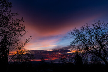 Leafless tree silhouettes framing a mystical purple and orange twilight sky