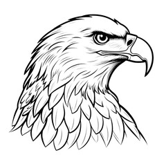 Elegant Eagle Doodle on White Background