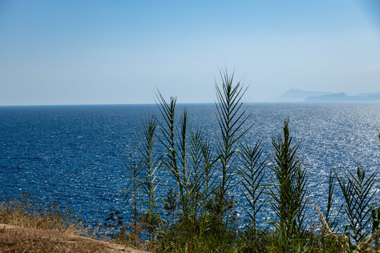 Glittering blue Mediterranean sea with bright sun reflections and sparkling water in backlight. Wild plants on a cliff edge with misty mountains on the horizon. September, Antalya, Turkey.