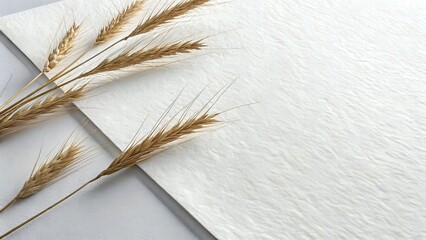 Clean White Paper Texture with Natural Grain and Soft Studio Lighting