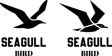 Seagull bird silhouettes in flight  two flying birds