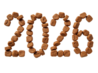 3D bold numerals 2026, isolated on white background, high-resolution, modern 3D typography, clean and minimal design