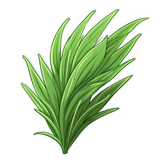Fototapeta premium Green grass decal on white background
