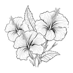 Exquisite Botanical Hibiscus Floral Illustration Art