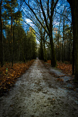 Obraz premium Stille in Bewegung