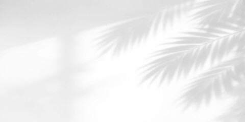 Obraz premium Soft white feather texture pattern with blue light ray backdrop