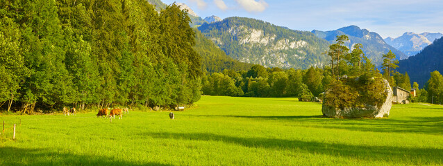 Sch&ouml;nes Naturdenkmal &ldquo;Schusterstein&ldquo; bei Sch&ouml;nau kurz vor dem K&ouml;nigsee in Bayern, Deutschland.