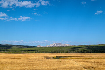 Mt Washburn, Yellowstone NP