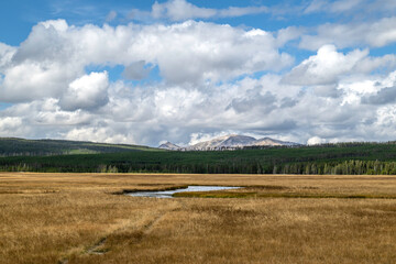 Mt Washburn, Yellowstone National Park