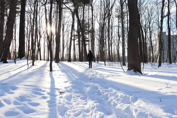 A woman in a path in winter. Forest with snow and someone walking. Hiking and trail in winter and outdoor activities. Relaxing in the forest in winter.