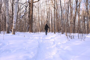 A woman in a path in winter. Forest with snow and someone walking. Hiking and trail in winter and outdoor activities. Relaxing in the forest in winter.