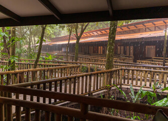 Wooden cabins in nature resort in Costa Rica rainforest during tropical downpour rainstorm
