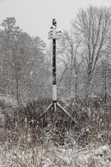 During snowfall in Canada Quebec