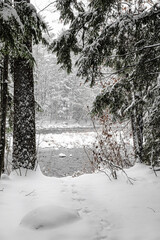 Winter riverscape in park Quebec Canada