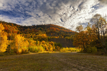Autumn landscape in a quarry surrounded by colorful trees, Kozy, Poland, Silesian Voivodeship, natural background or wallpaper