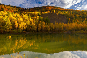 Autumn landscape in a quarry surrounded by colorful trees, Kozy, Poland, Silesian Voivodeship, natural background or wallpaper
