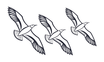 Fototapeta premium Flying Eagle Line Art Vector Illustration, easily editable. 