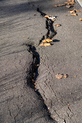 Crack in the pavement with fallen leaves on a sunny day in a city park during autumn