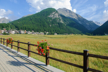 Summer view of Cogne in Italy&rsquo;s Aosta Valley, with alpine meadow, wooden fence and flowers, mountain village and forested peaks under a blue sky.