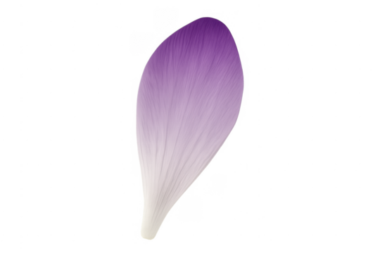 Purple flower petal falling transparent background - Powered by Adobe