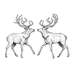 Aggressive male deer in intense antler clash