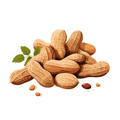 Whole Peanuts in Shell, Groundnut