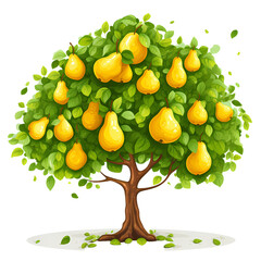Pear tree illustration on white background