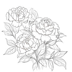Elegant Peony Flower Card Design Frame