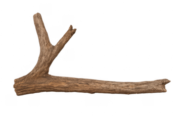 Dry sturdy tree branch with fork structure
