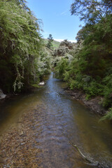 Waiotapu Stream, landscape in Waiotapu Thermal Reserve, Rotorua, New Zealand